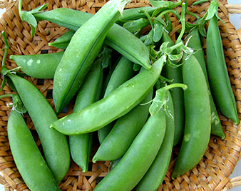 スナップエンドウ