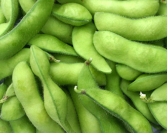 枝豆(えだまめ)