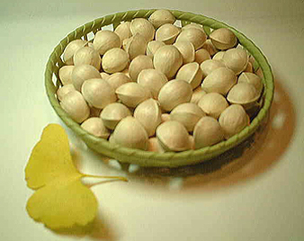 ぎんなん(銀杏)