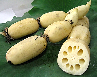 蓮根(れんこん)