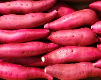 ���܂���