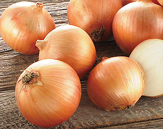 �ʔK�i�k�C���Y�j