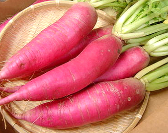 ���f�B�[�T���_�卪