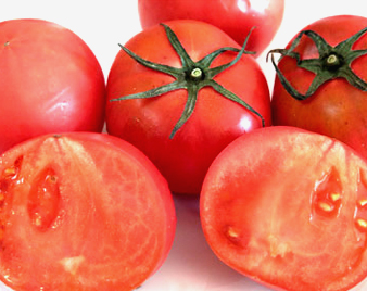 �t���[�c�g�}�g