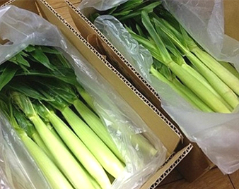 ��t�������O�R�[��