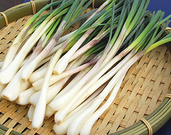 ��������傤