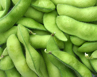 枝豆(えだまめ)