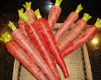 京にんじん(金時人参)