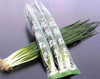 九条ねぎ