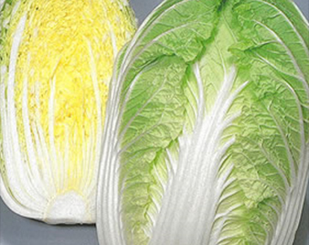 白菜