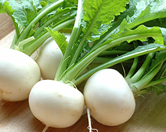 蕪(かぶ)