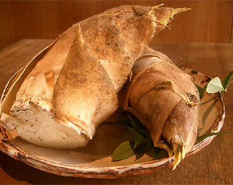 ⡁i�����̂��j