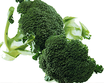 ブロッコリー