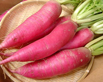 レディーサラダ