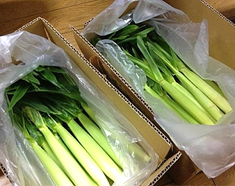 ��t�������O�R�[��