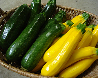 �Y�b�L�[�j