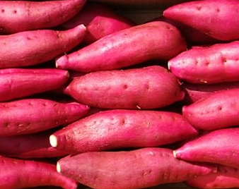 ���܂���